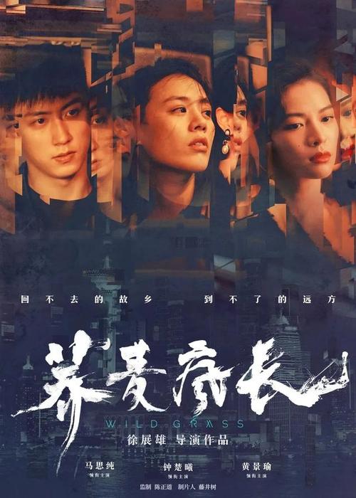 欧米茄男士机械表京东